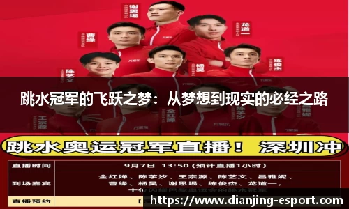 跳水冠军的飞跃之梦：从梦想到现实的必经之路